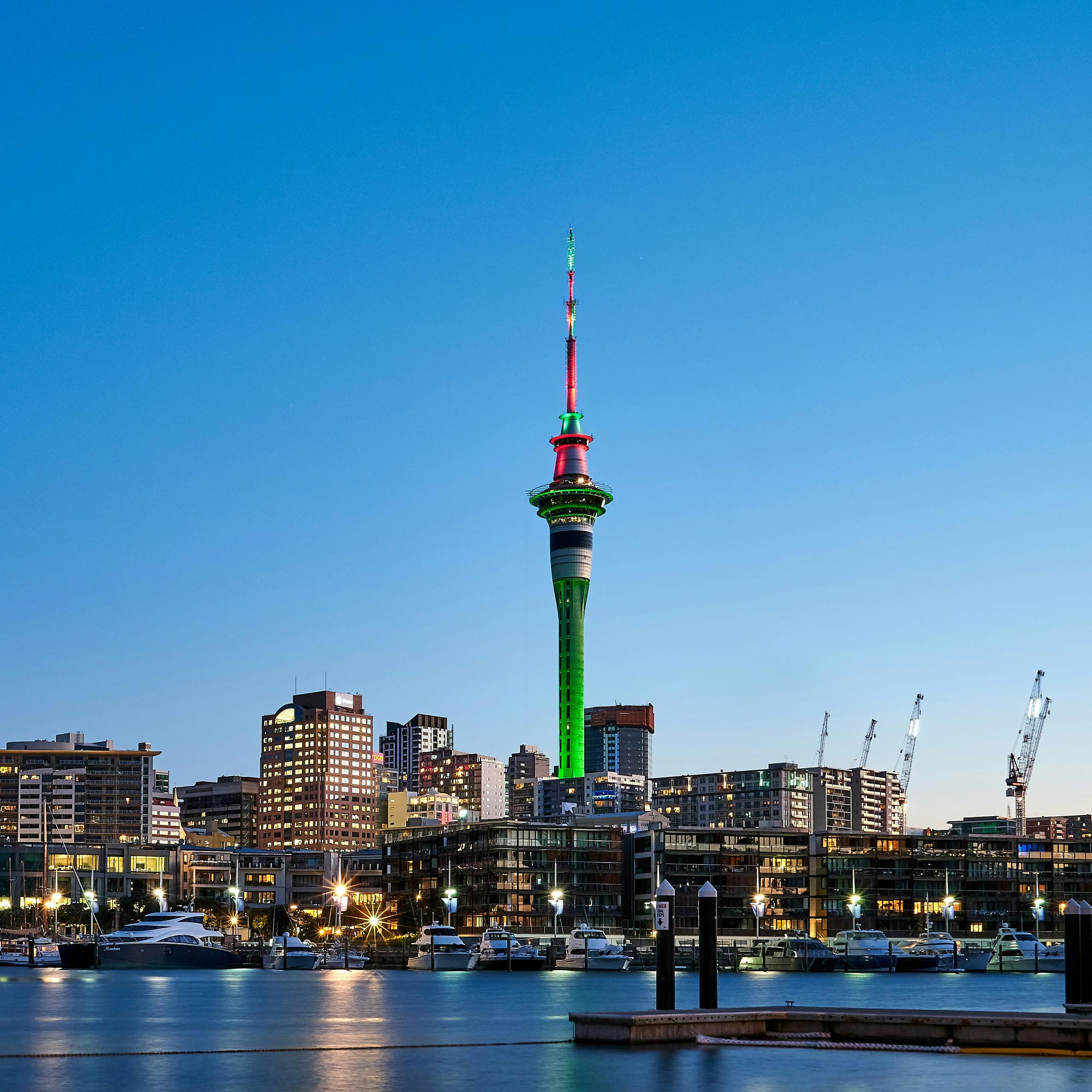 Auckland SEO