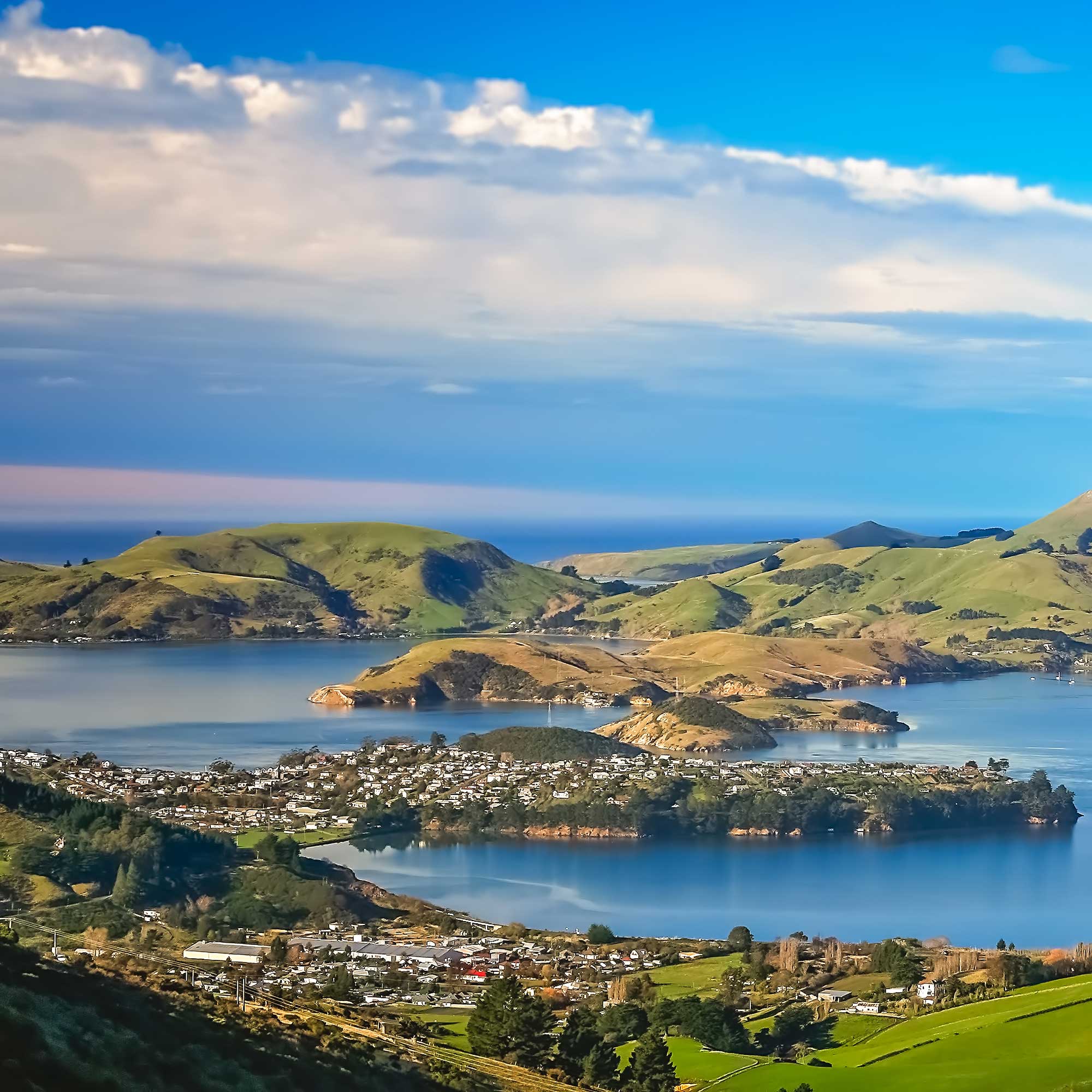 Dunedin SEO