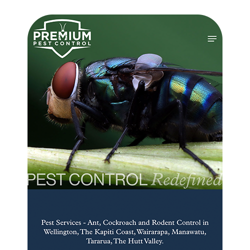 Premium Pest Control SEO Results Wellington