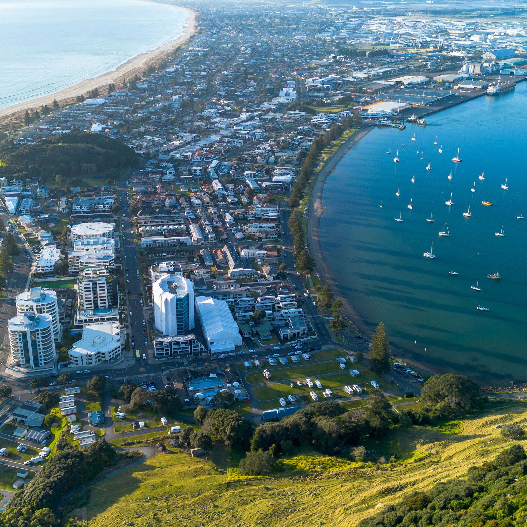 Tauranga SEO