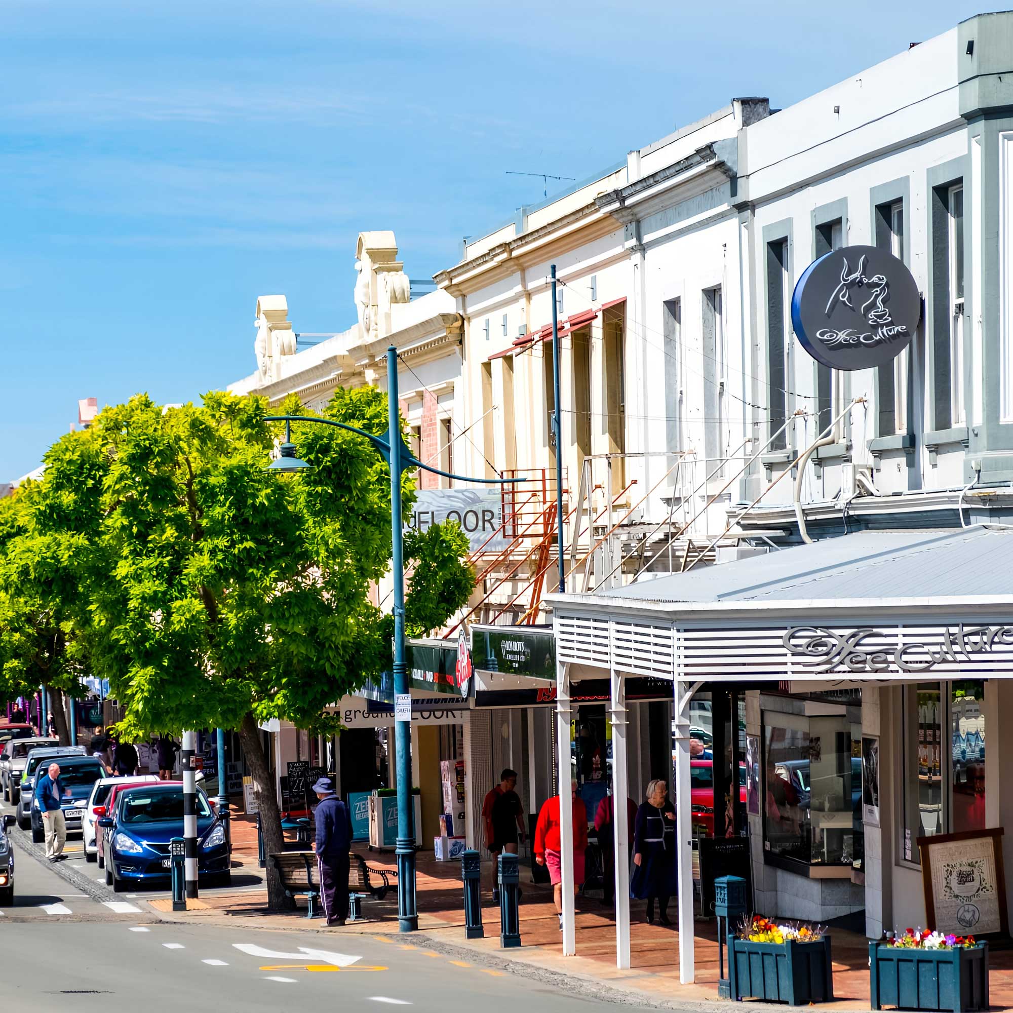 Timaru SEO