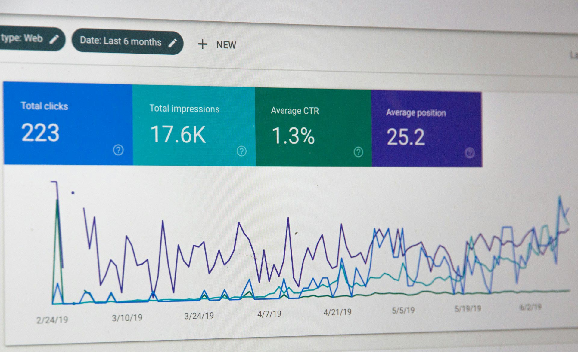 New Zealand business owner comparing SEO and Google Ads results