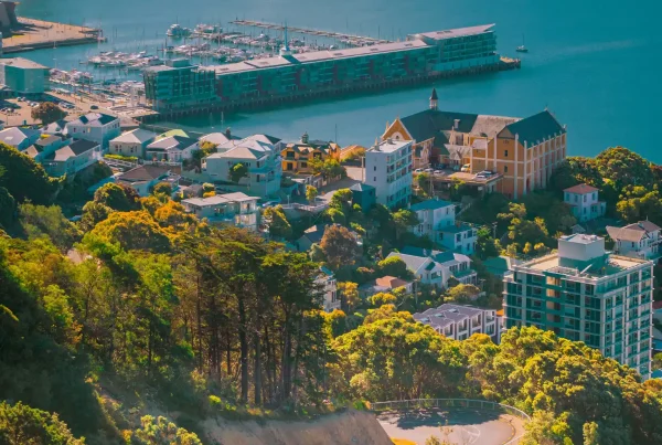 Local Wellington business benefiting from SEO visibility