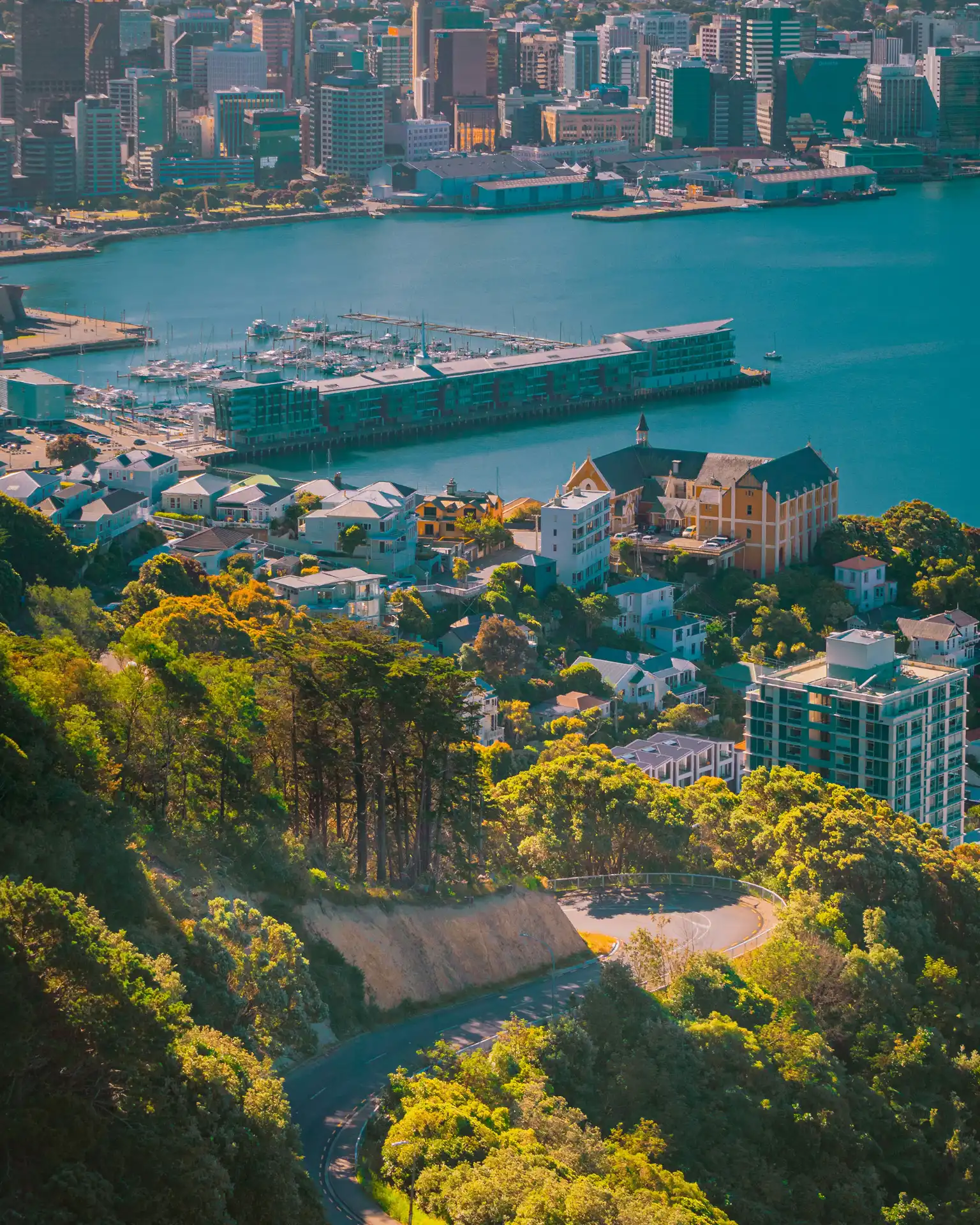 Local Wellington business benefiting from SEO visibility