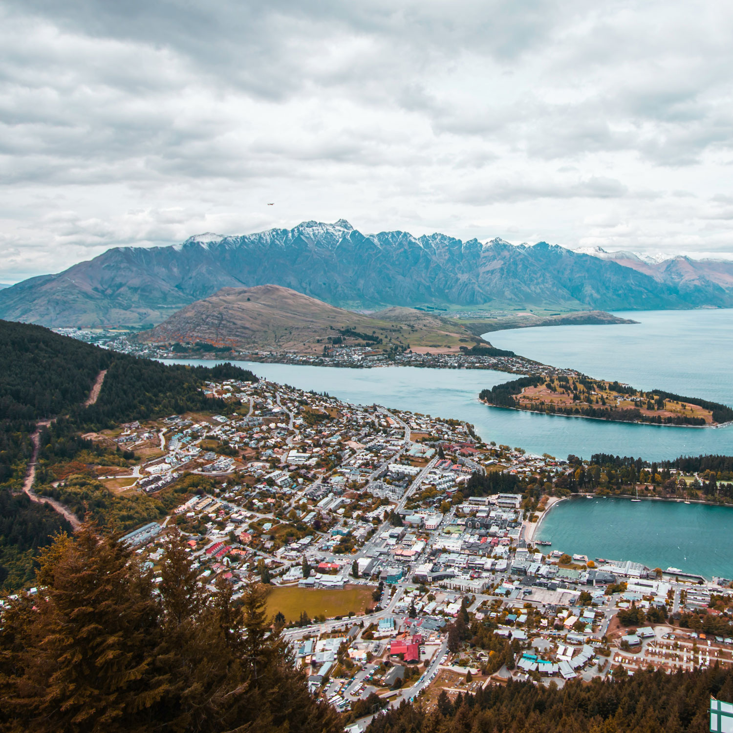 Local Web Design Company in Queenstown