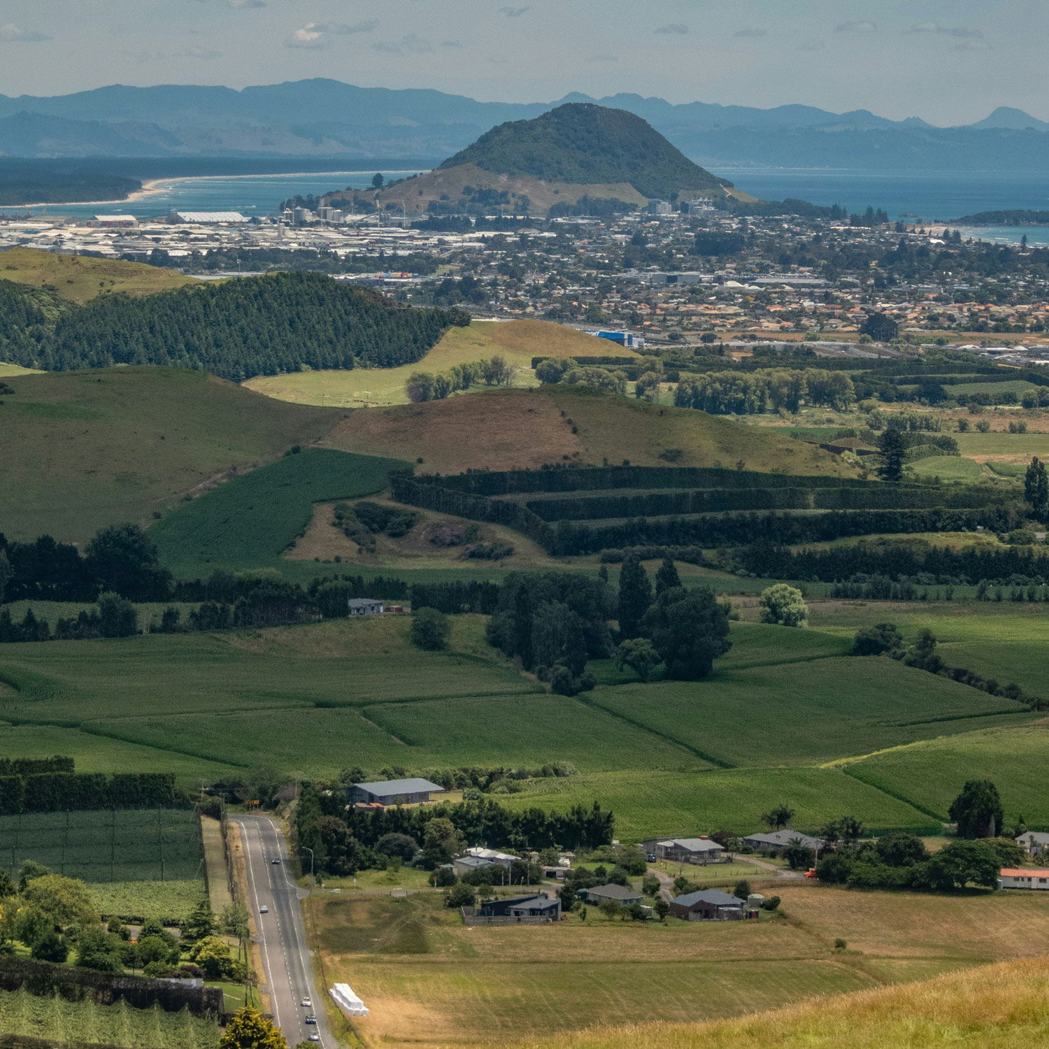 Mount Maunganui Tauranga