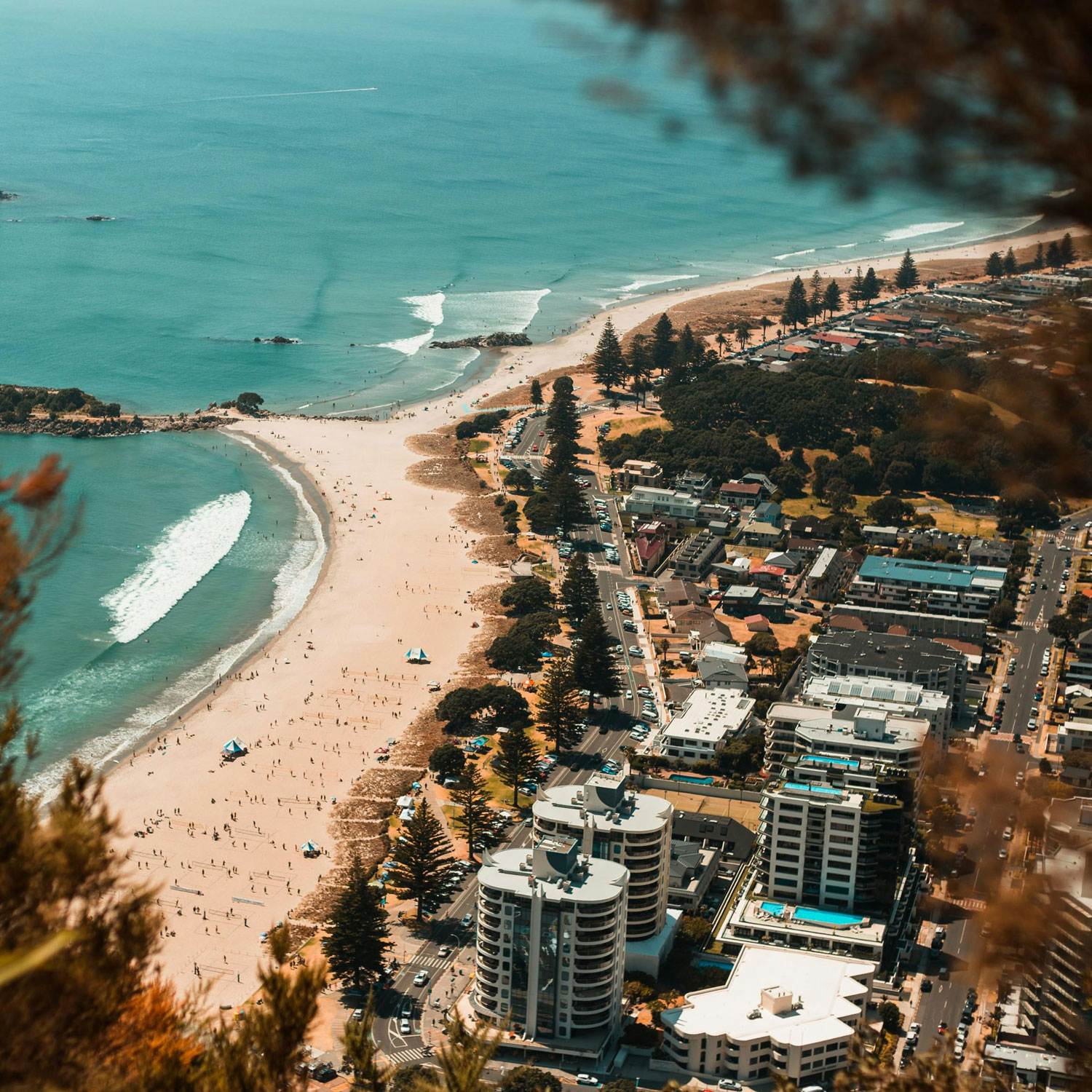 Taurnaga CBD local web design company