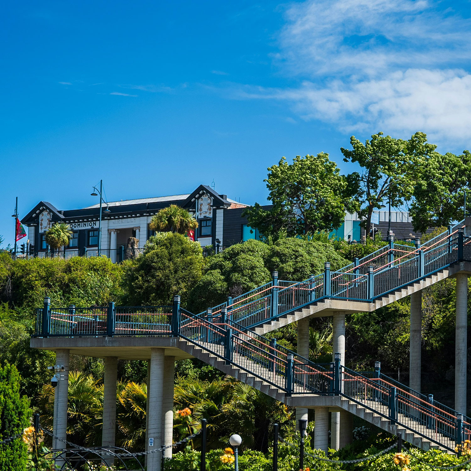 Timaru local website design comapany