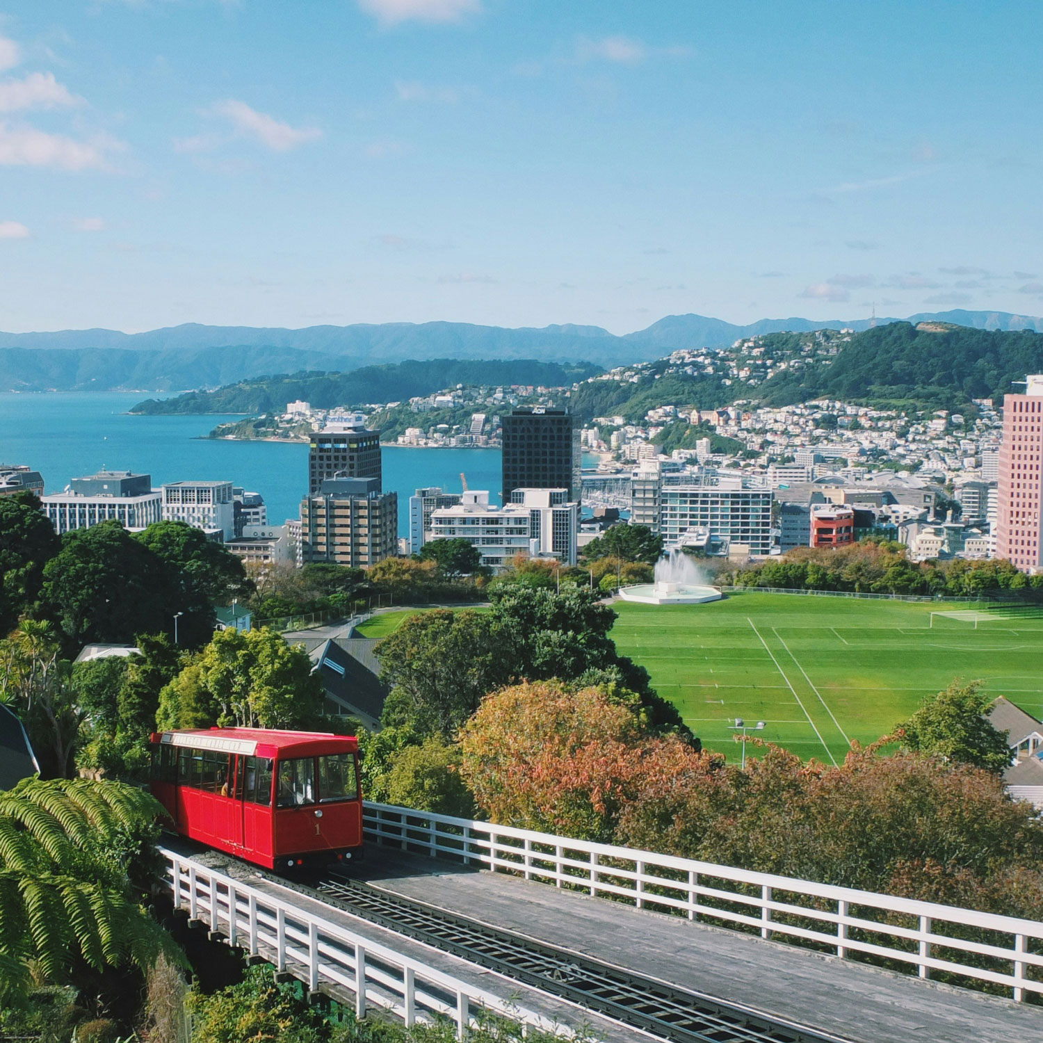 Wellington local web design agency