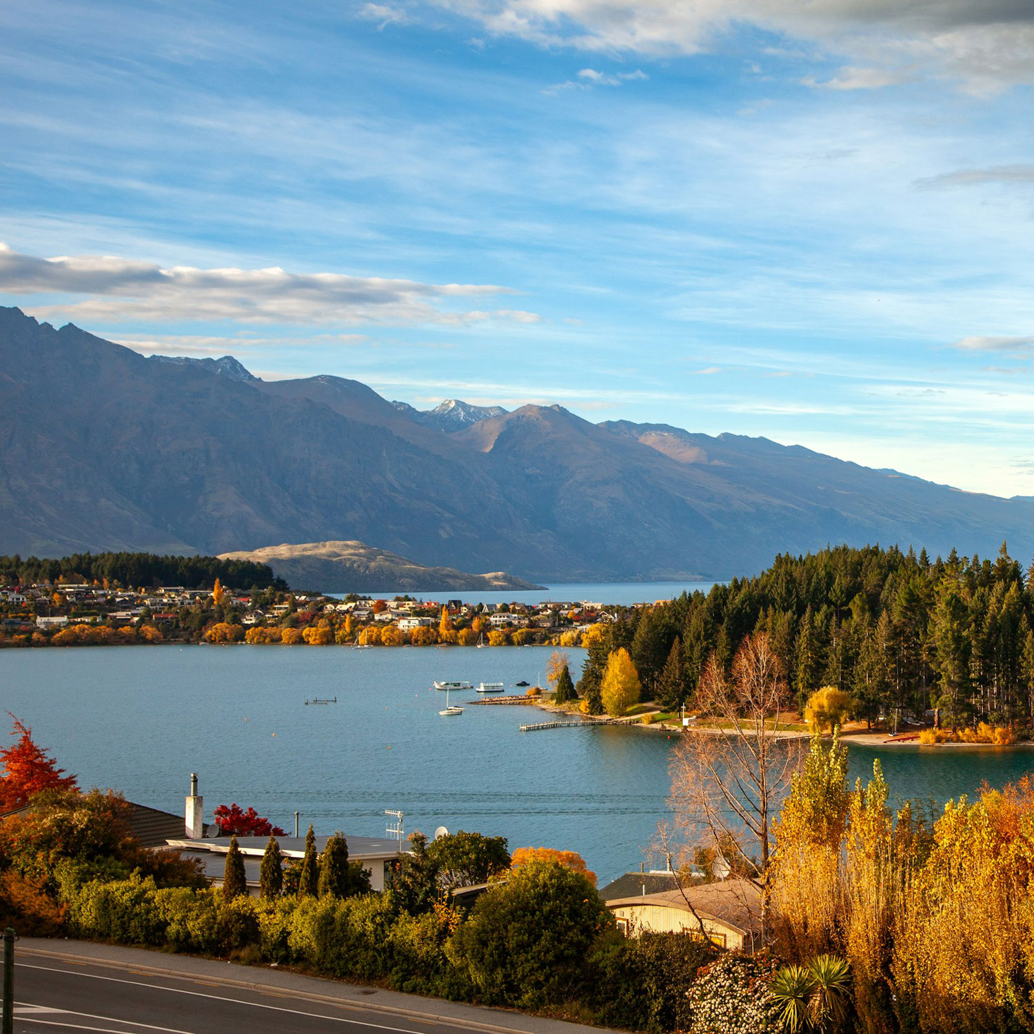 SEO Queenstown Local Experts